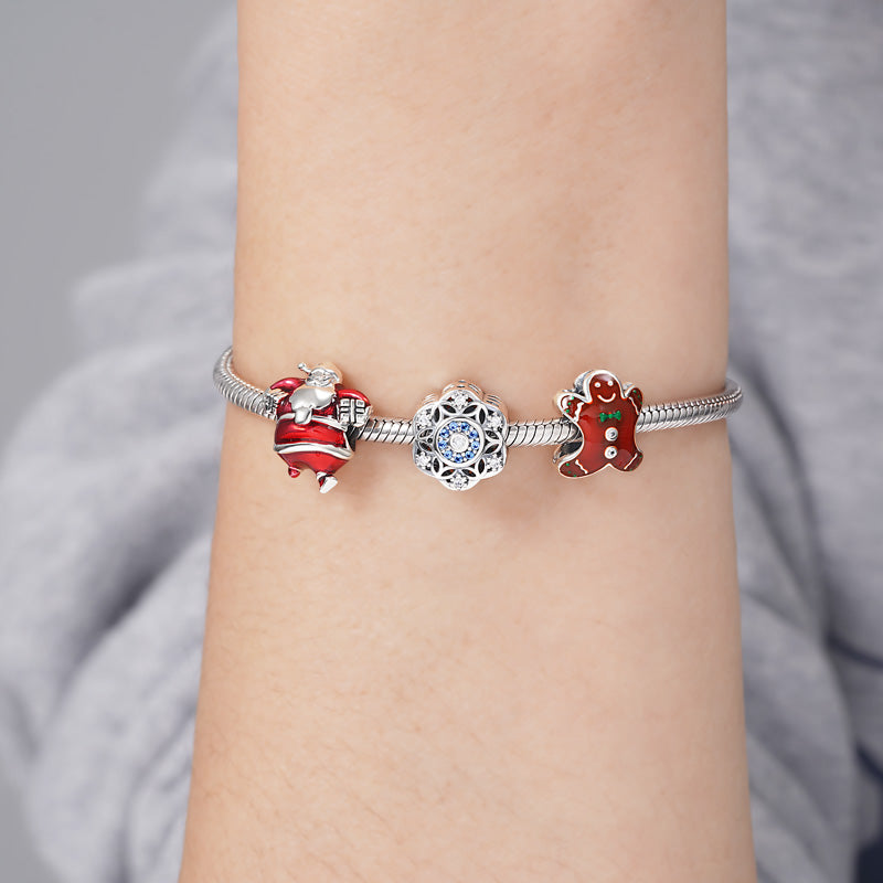 Romantic Snowflakes Charm Bead 925 Sterling Silver Inlaid with Sky Blue Zircon Stones_3