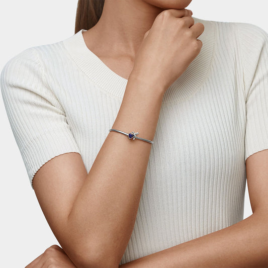 Gnoce Hummingbird Mood Cham_5