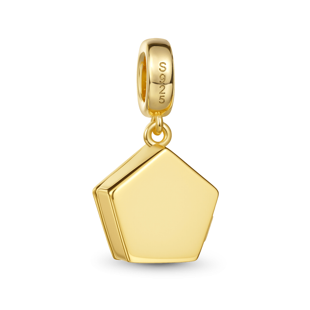 Gnoce Harry Potter Chocolate Frog Charm_6