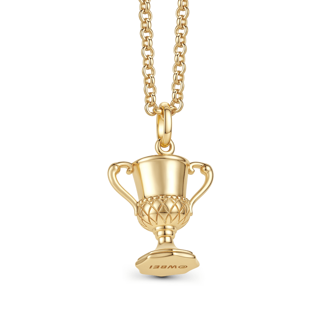 Gnoce Harry Potter Hufflepuff House Cup Pendant Necklace_4
