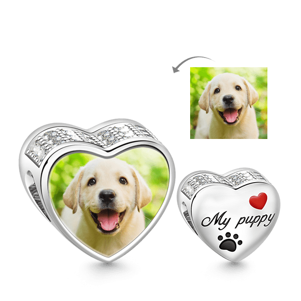 Gnoce Puppy Photo Clear CZ Charm Platinum-plated Silver Blend_1