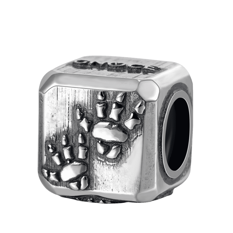 Gnoce Triceratops Vintage & Customized Charm Platinum-plated Silver Blend_3