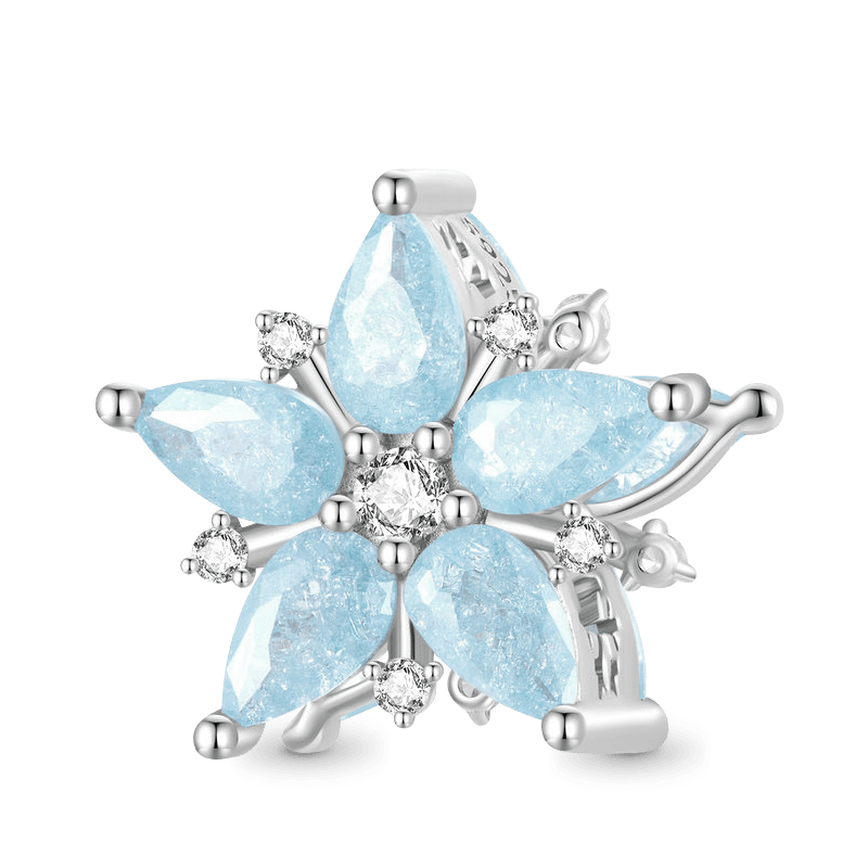 Gnoce Sparkling Winter Snowflake Charm_1