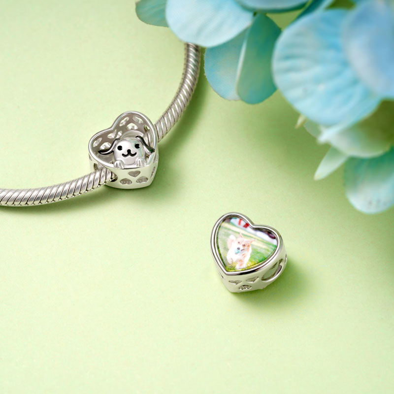 Gnoce Cute Pet Dog Personalized Photo Charm Platinum-plated Silver Blend_2