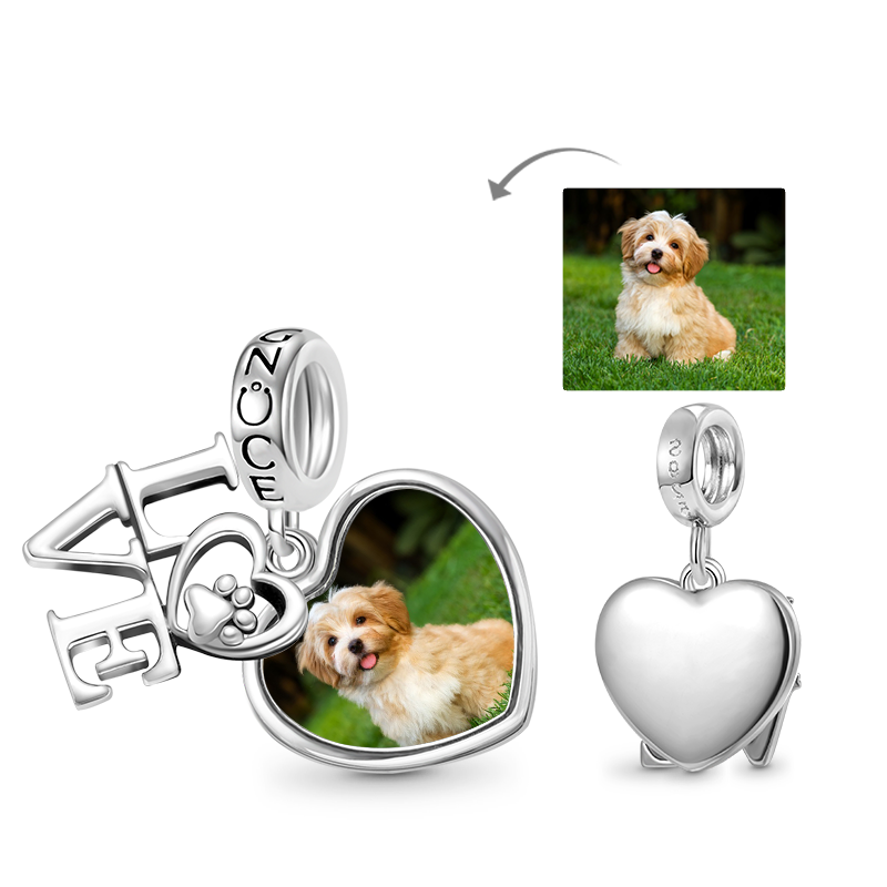 Gnoce Pet Lover Paw Personalized Double Charm Platinum-plated Silver Blend_1