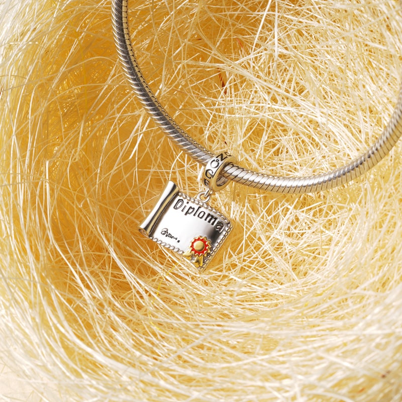 Gnoce School Diploma Pendant Dangle Charm_3