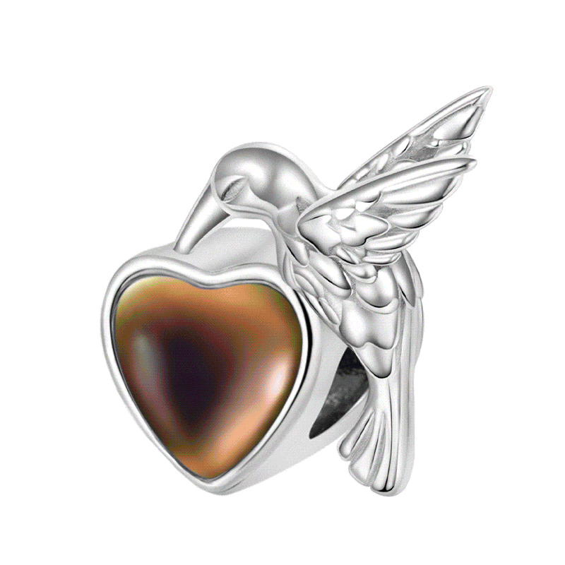 Gnoce Hummingbird Mood Cham_1