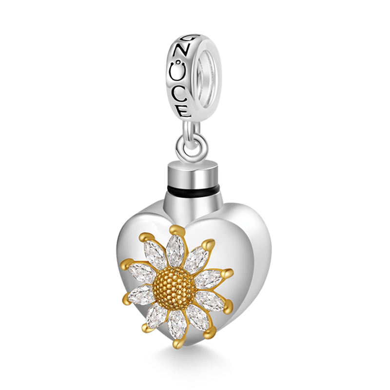 Gnoce Heart Memorial Urn Ashes Charm Platinum-plated Silver Blend_2
