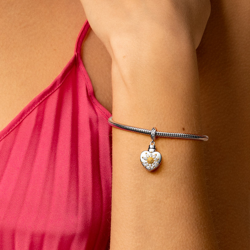 Gnoce Heart Memorial Urn Ashes Charm Platinum-plated Silver Blend_7