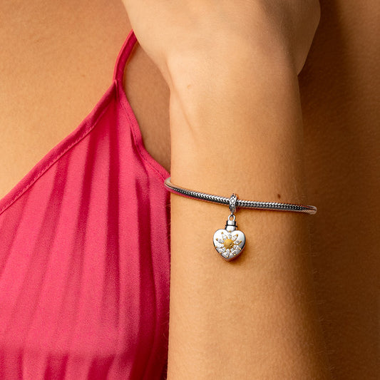Gnoce Heart Memorial Urn Ashes Charm Platinum-plated Silver Blend_7