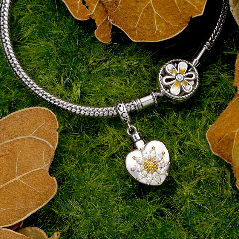 Gnoce Heart Memorial Urn Ashes Charm Platinum-plated Silver Blend_4