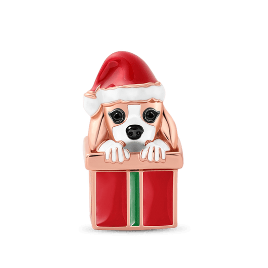 Gnoce Dog with Gift Box Charm_1