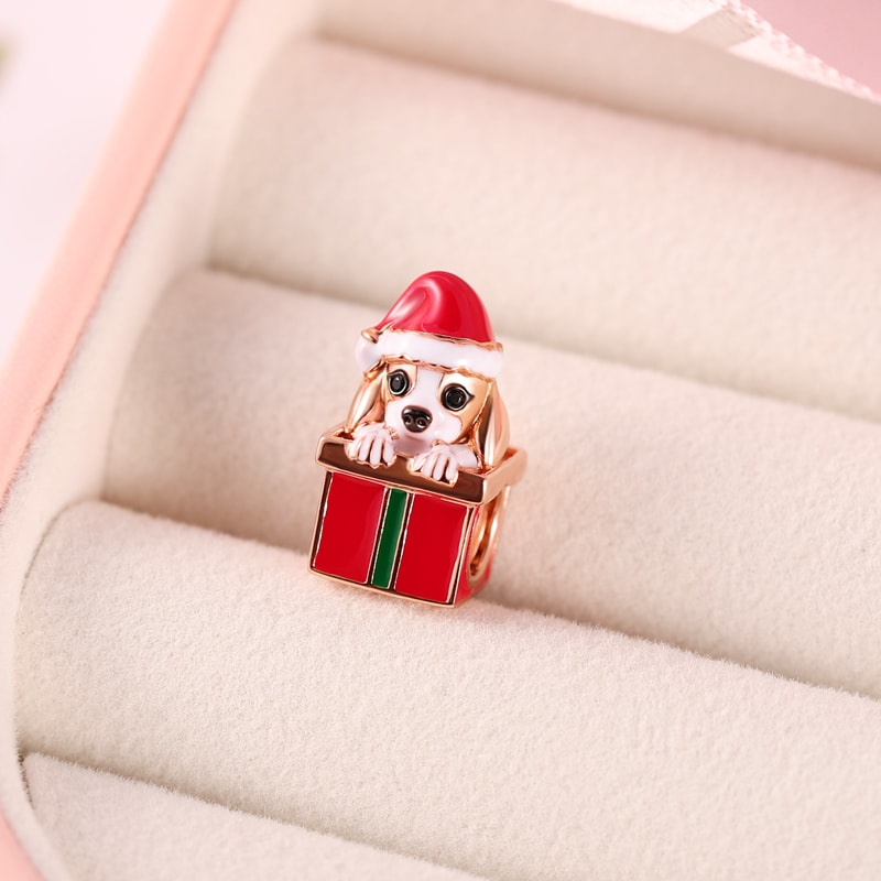 Gnoce Dog with Gift Box Charm_2