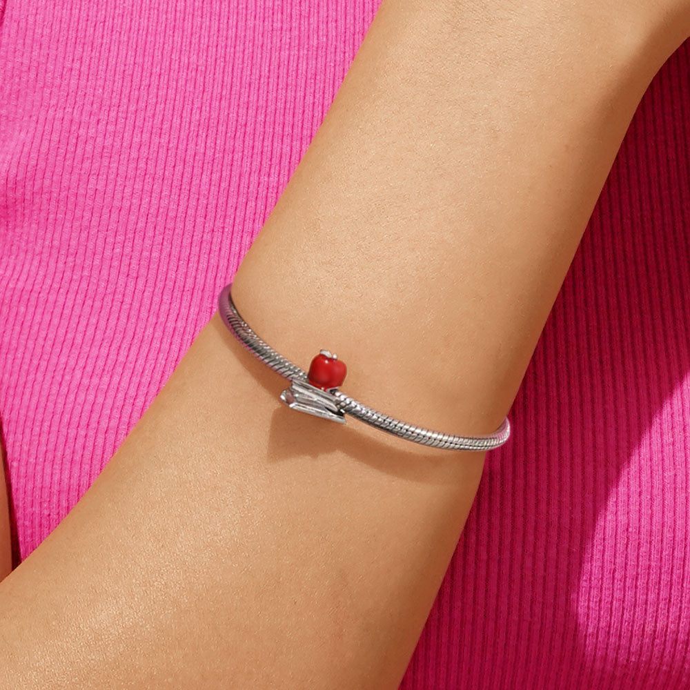 Gnoce Back to School Apple Textbook Charm_4