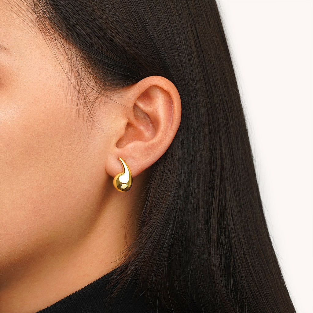 Gnoce Drop Shape Earrings_4