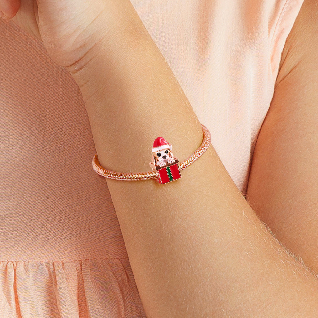 Gnoce Dog with Gift Box Charm_3