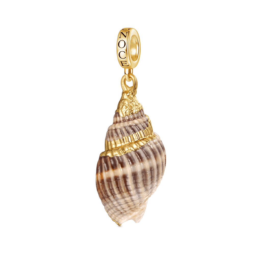 Gnoce Natural Ocean Shell Charm_1