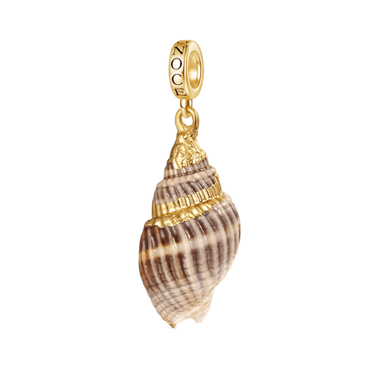 Gnoce Natural Ocean Shell Charm_1