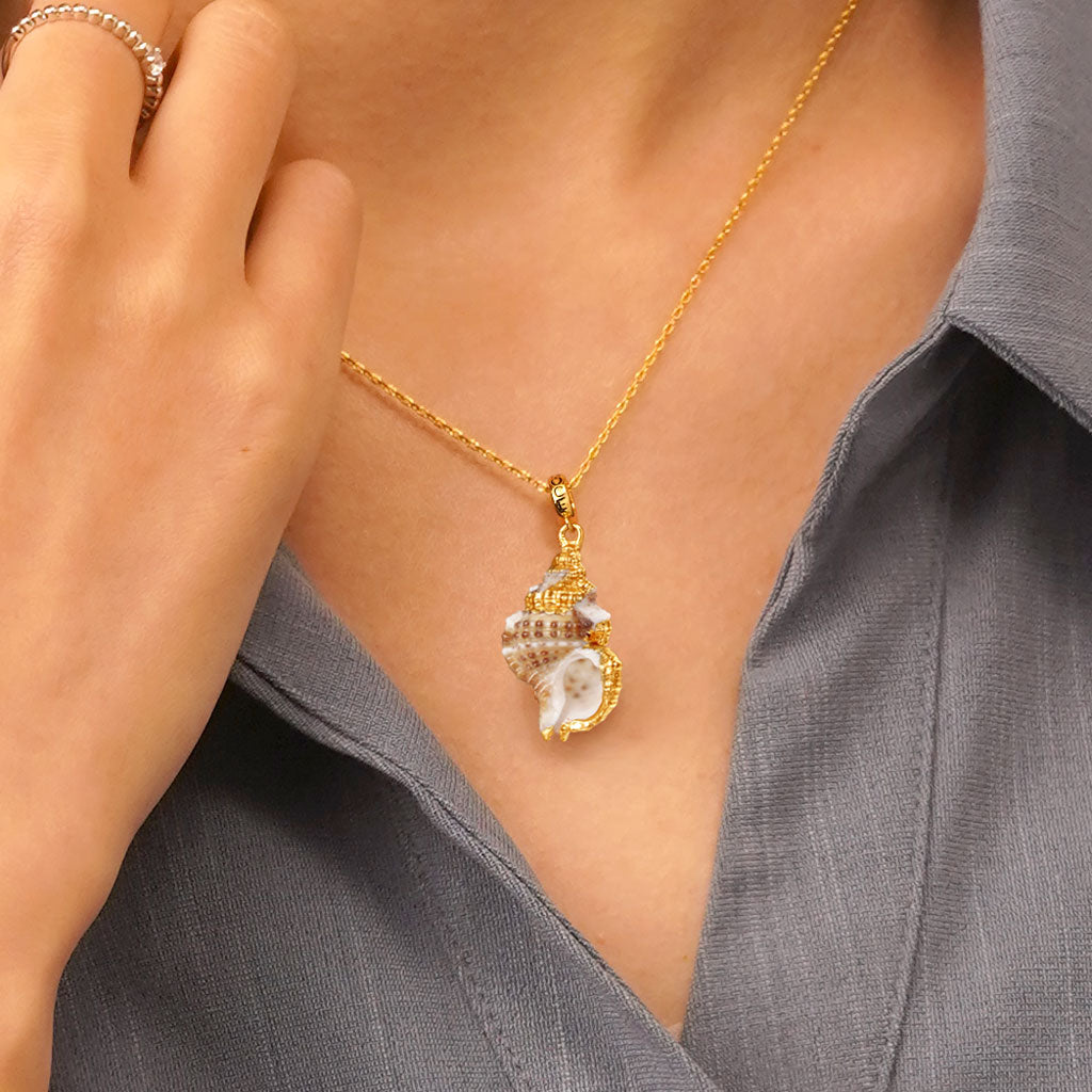 Gnoce Natural Shell Conch Charm_5