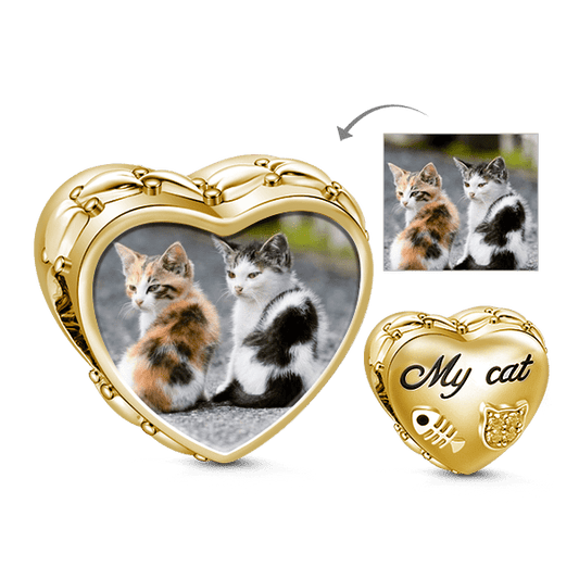 Gnoce When Cat Fall in Love with Fish Cat Photo Charm_1