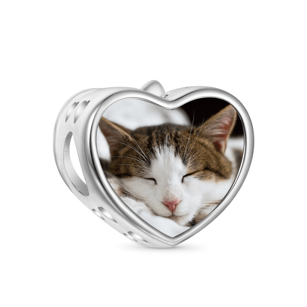 Gnoce Cat Love Photo Charm Platinum-plated Silver Blend_3