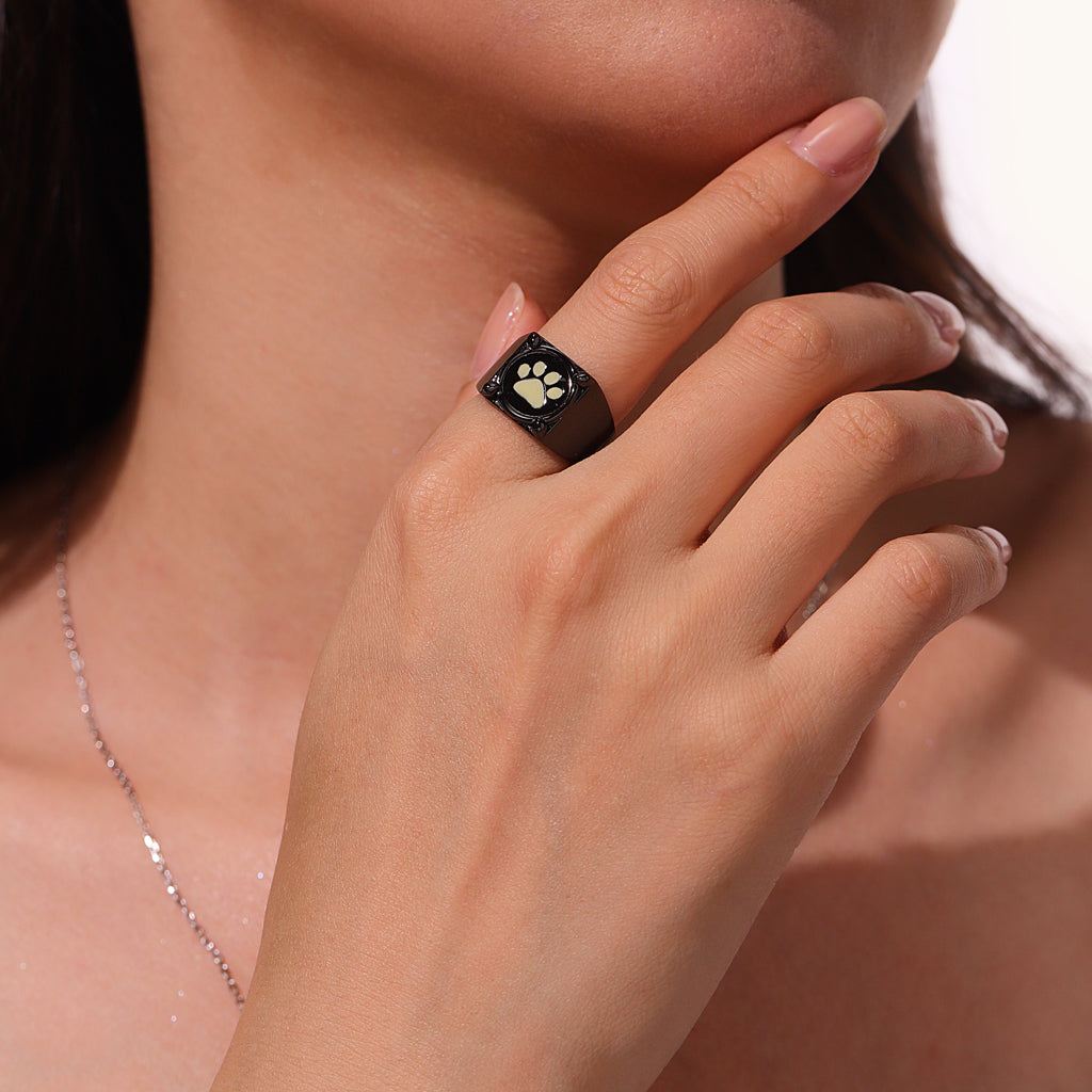 Gnoce Zag Heroez Miraculous - Cat Noir Glow-in-the-Dark Ring_5