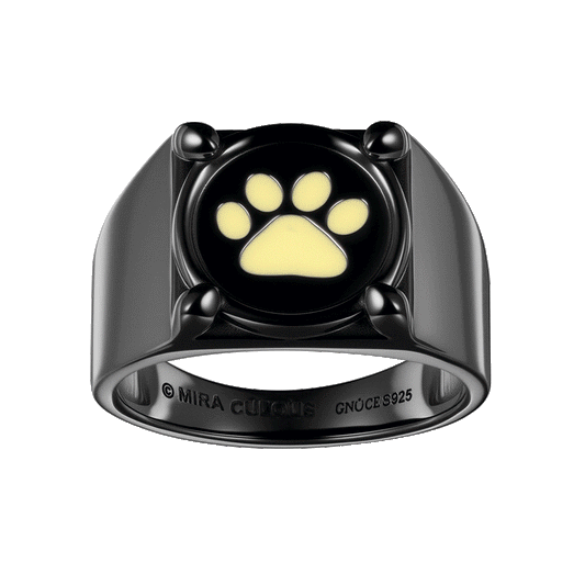 Gnoce Zag Heroez Miraculous - Cat Noir Glow-in-the-Dark Ring_1
