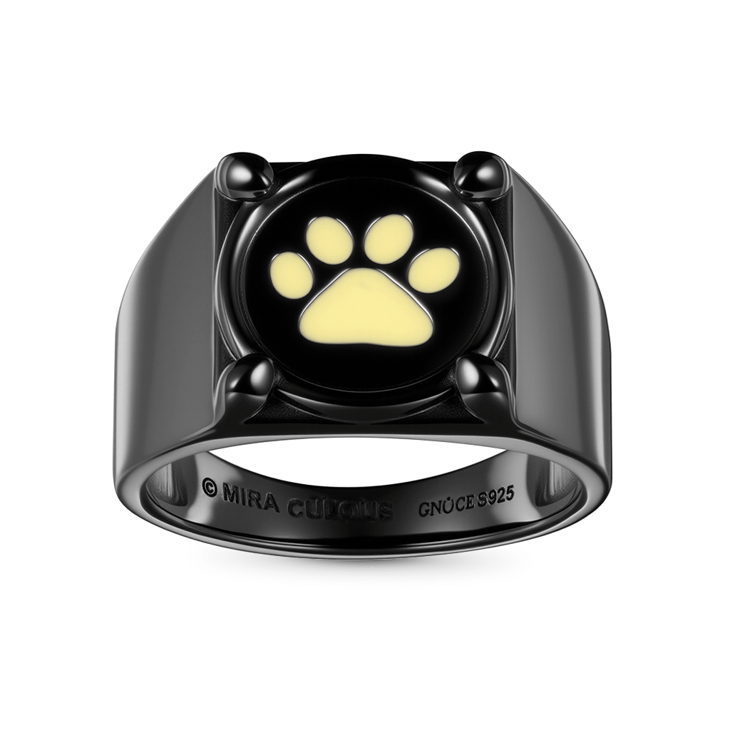 Gnoce Zag Heroez Miraculous - Cat Noir Glow-in-the-Dark Ring_2