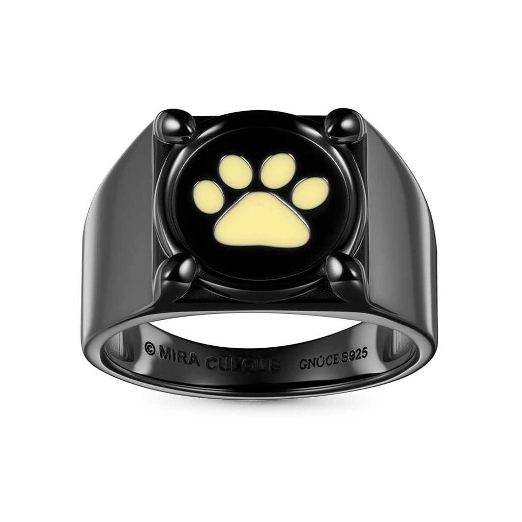 Gnoce Zag Heroez Miraculous - Cat Noir Glow-in-the-Dark Ring_2