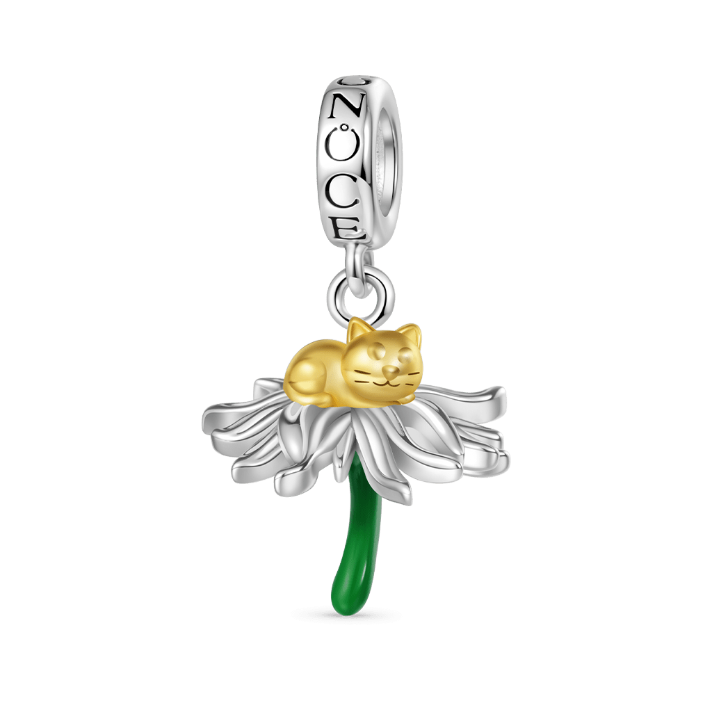 Gnoce The Cat in Daisy Charm_1