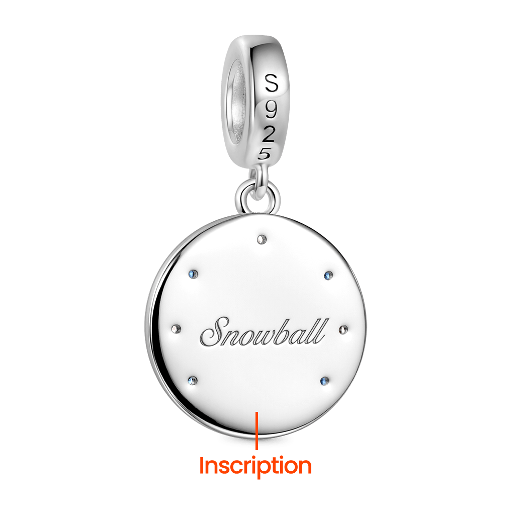 Gnoce Pet Printed Photo Engraving Charm Platinum-plated Silver Blend_3