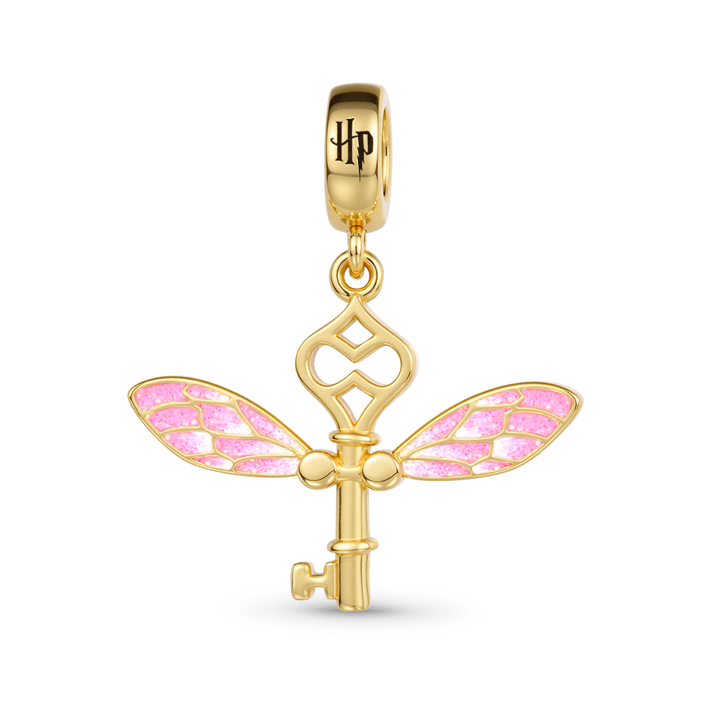 Gnoce Harry Potter Winged Key Pendant Dangle Charm_2