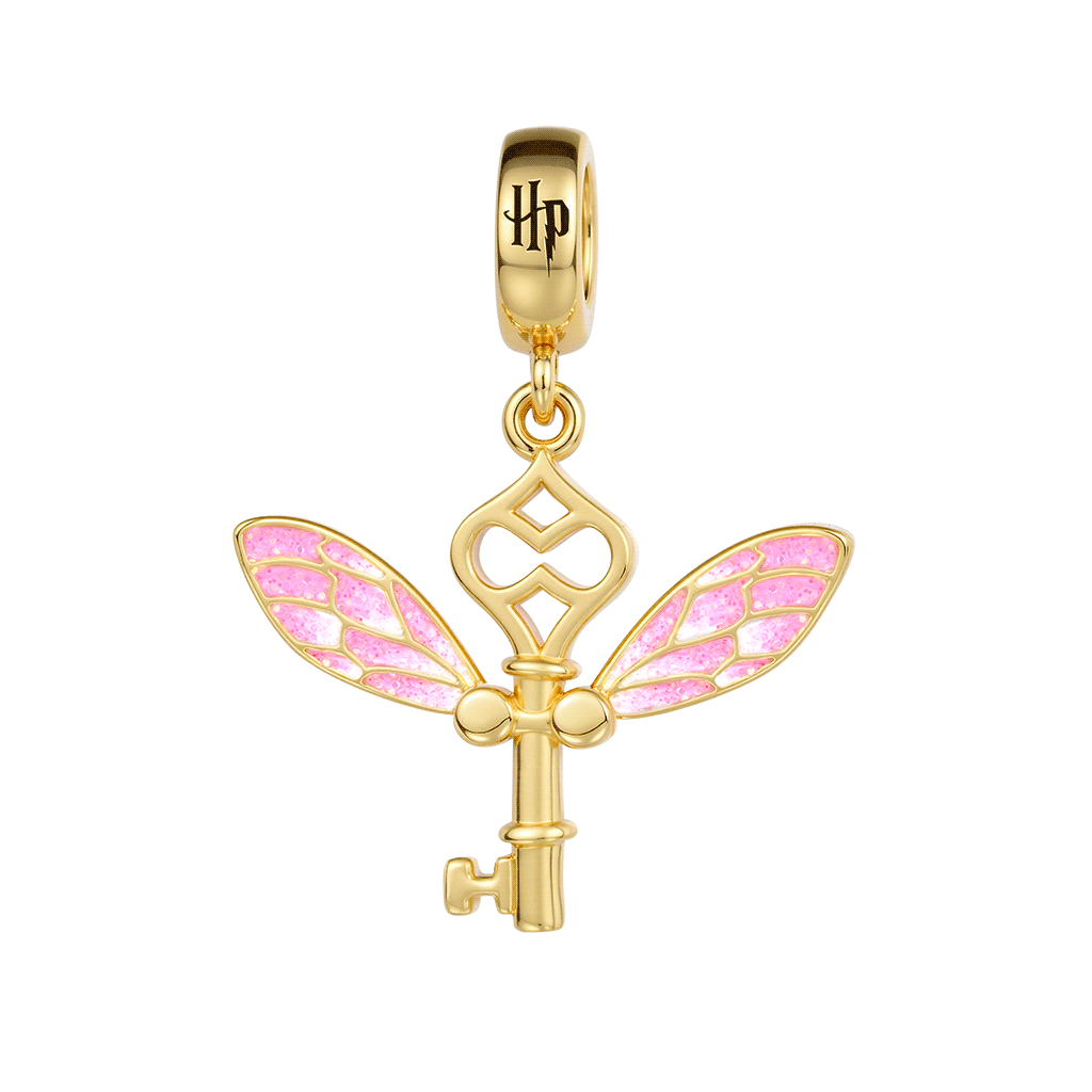 Gnoce Harry Potter Winged Key Pendant Dangle Charm_1