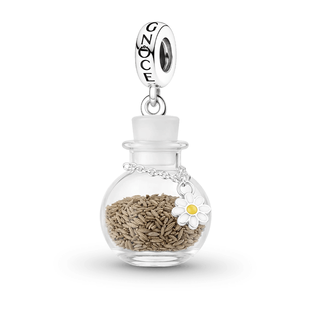 Gnoce Daisy Seed Wishing Bottle Pendant Dangle Charm_1