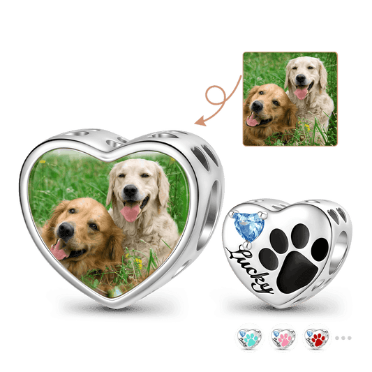Gnoce Loving Pet Paw Photo Charm Platinum-plated Silver Blend_1