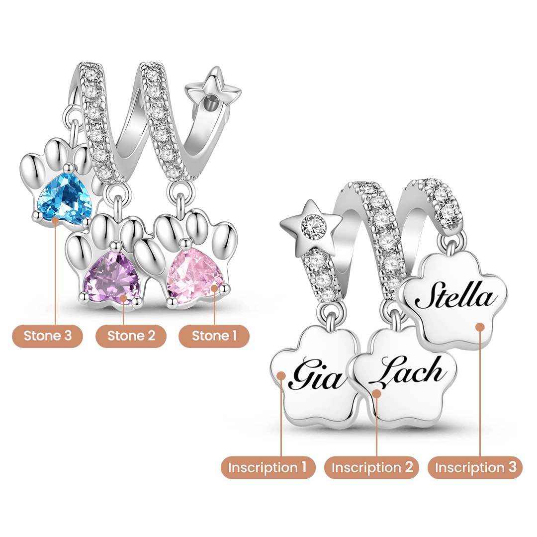 Gnoce Rotating Pet Paw Engravable Birthstone Through‑hole Bead Charm Platinum‑plated Silver Blend_6