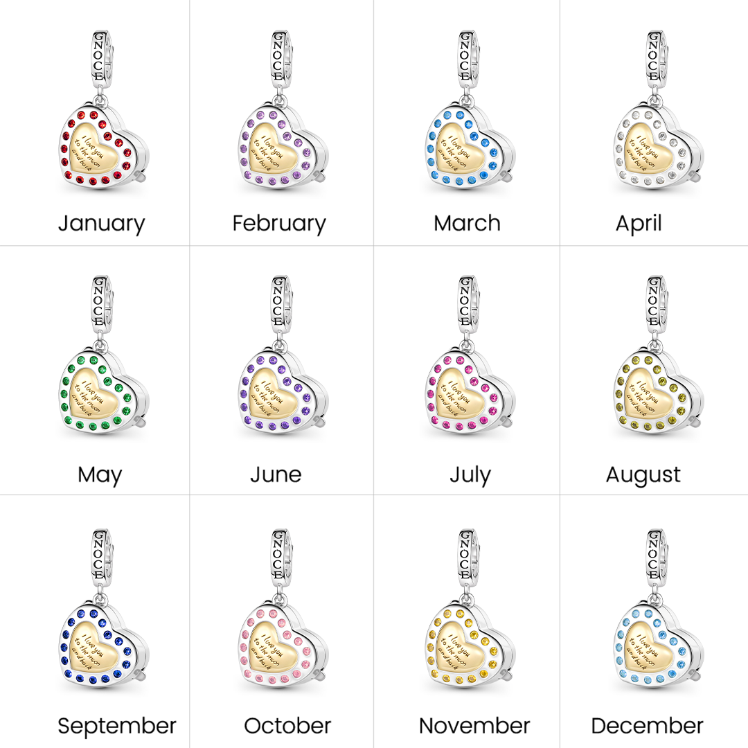 Gnoce Multi‑functional Engraving Heart Birthstone Locket Clasp Dangle Charm Platinum‑plated Silver Blend_6