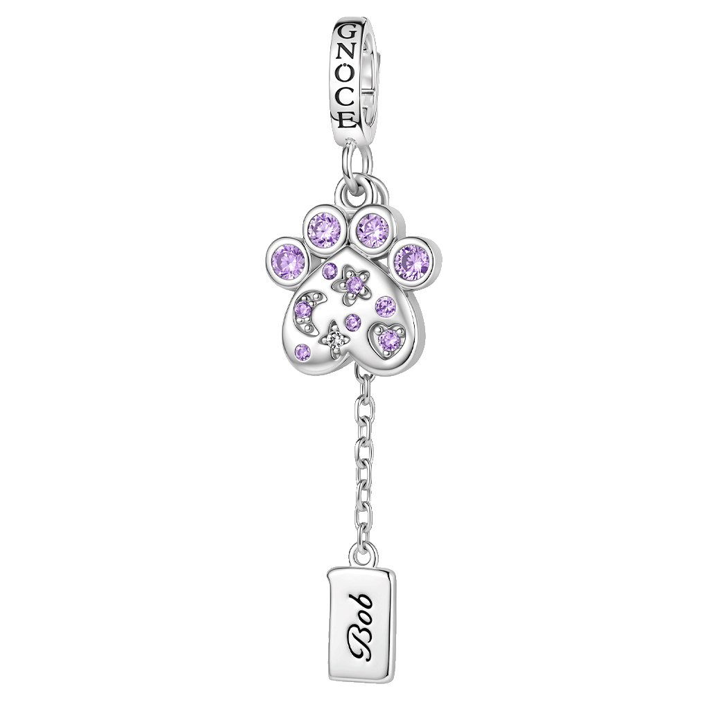 Gnoce Pet Paw Print Birthstone Engravable Clasp Dangle Charm Platinum‑plated Silver Blend_1