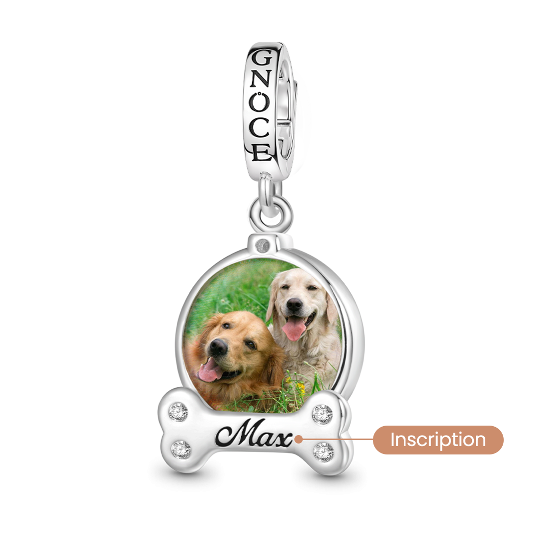 Gnoce Engravable Pet Dog Accessories Photo Pendant Dangle Charm_3