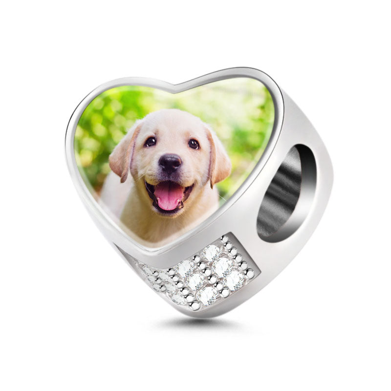 Gnoce "Sweet Memory of My Pug/Puppy/ Dog "Sterling Silver Love My Puppy Clear CZ Photo/DIY/Custom Charms for Good Memory of Dog/pug Gift_2