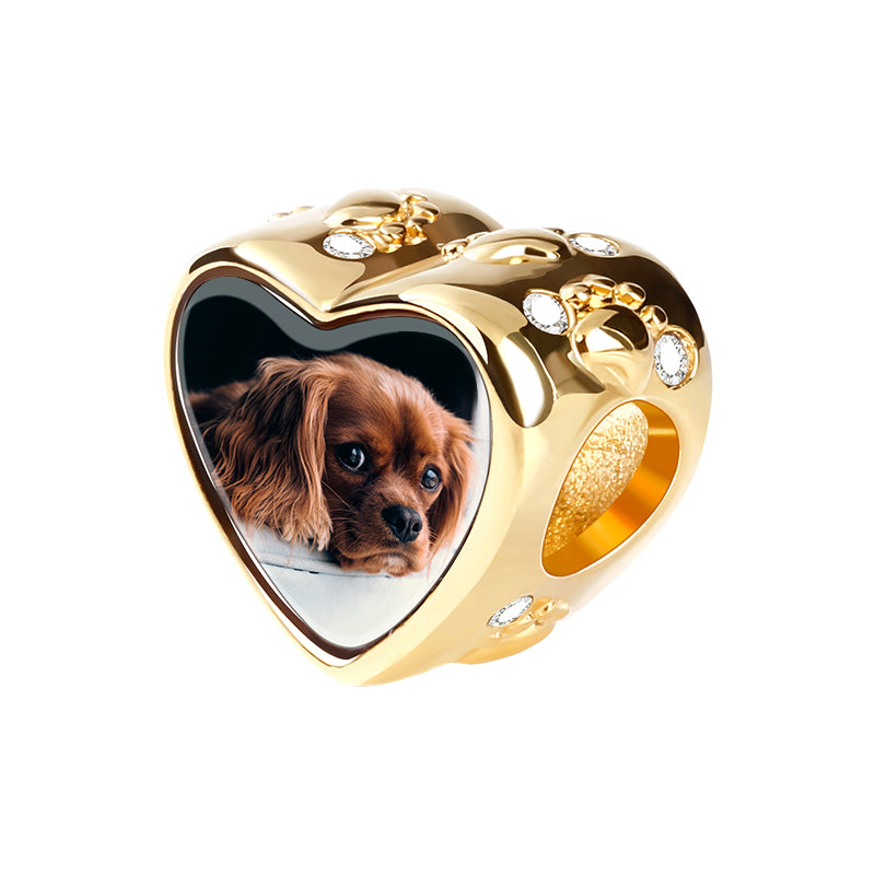 Gnoce Heart Shaped Puppy Photo Charm Platinum-plated Silver Blend_2