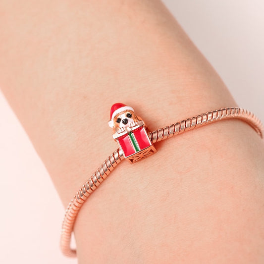 Gnoce Dog with Gift Box Charm_3