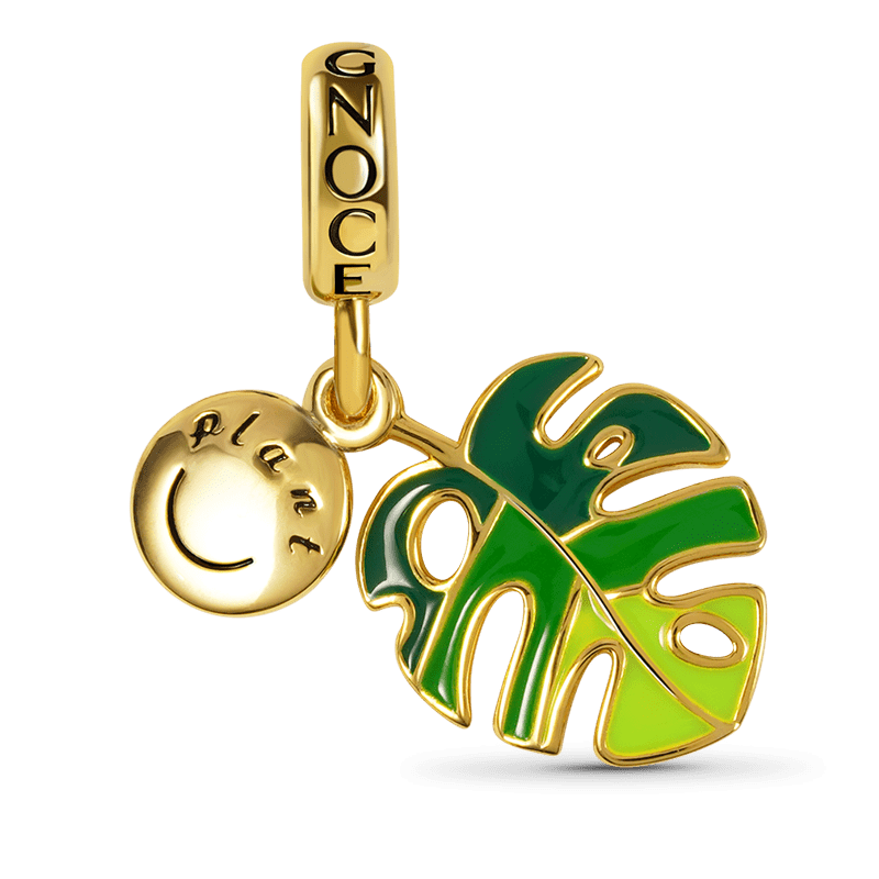 Gnoce Monstera Deliciosa Liebm Charm_1