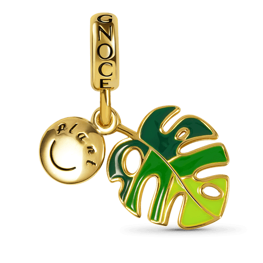 Gnoce Monstera Deliciosa Liebm Charm_1